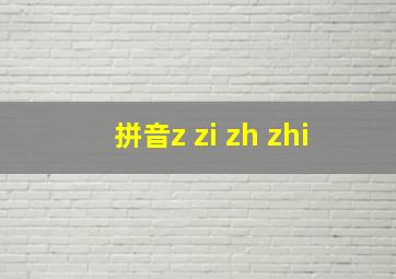 拼音z zi zh zhi